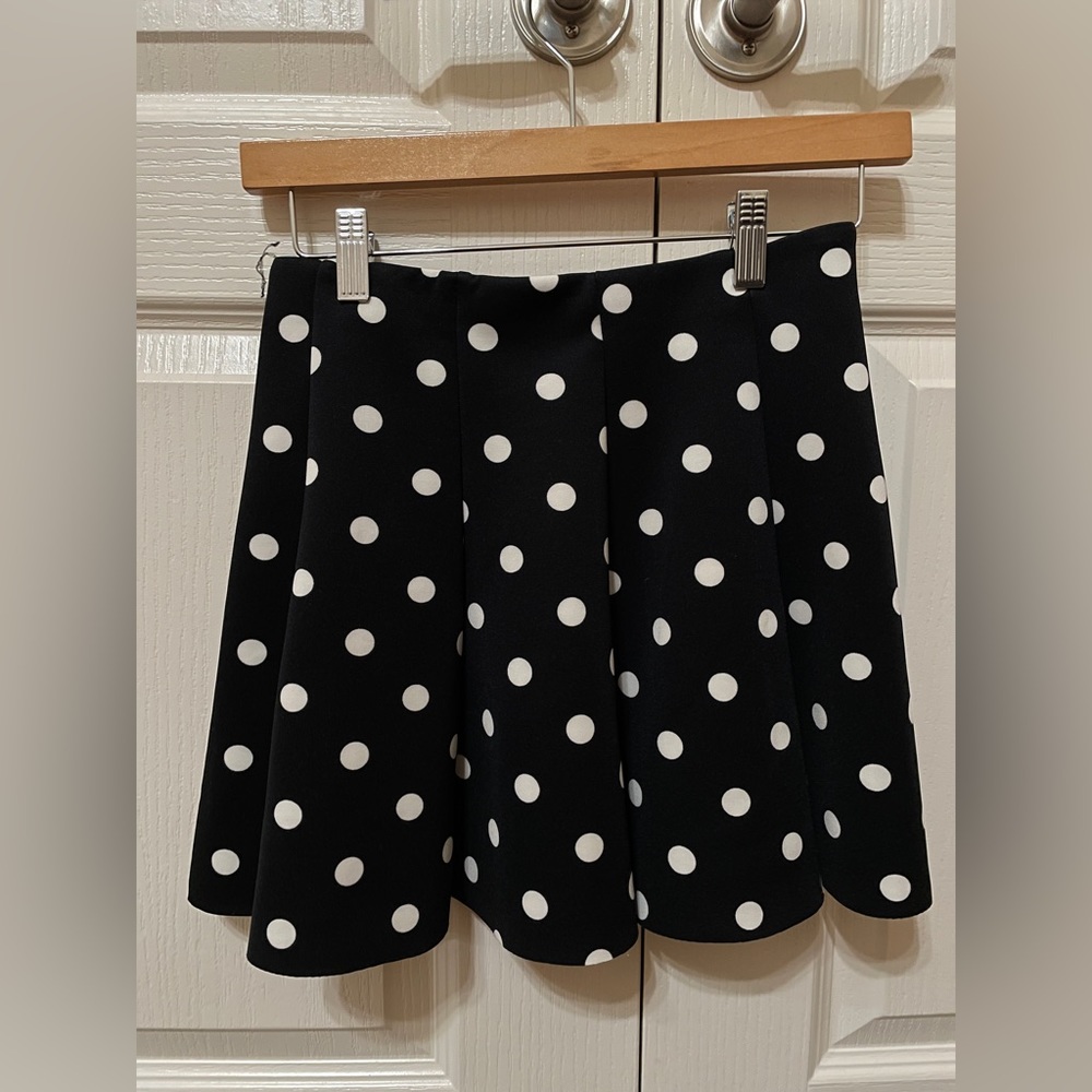 Zara polka dot skirt